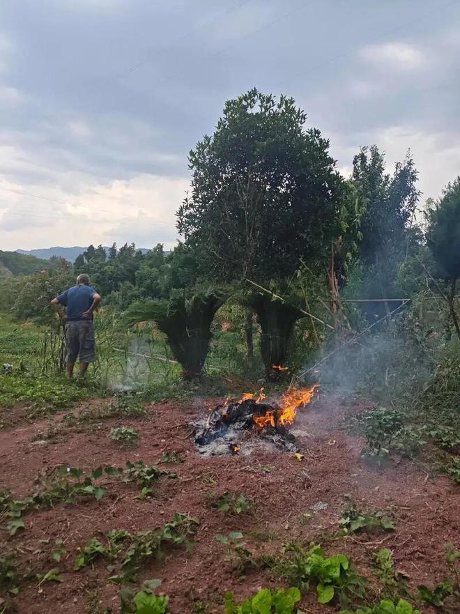 中元节又叫七月半老人说“七月半禁忌多”有些事情一定要特别注意！(图3)