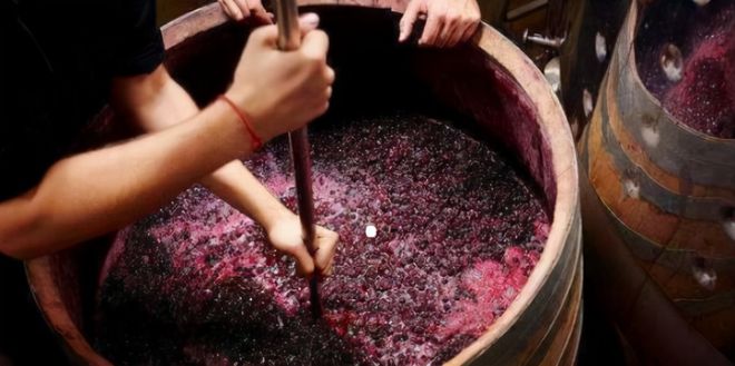 睡前来一瓶微醺的不上头！澳洲小瓶红酒200元24瓶！(图25)