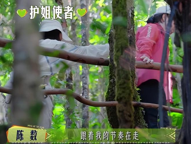 一档综艺被“一脸斑点”的李沁惊艳整个人面相变了惊鸿一瞥(图22)