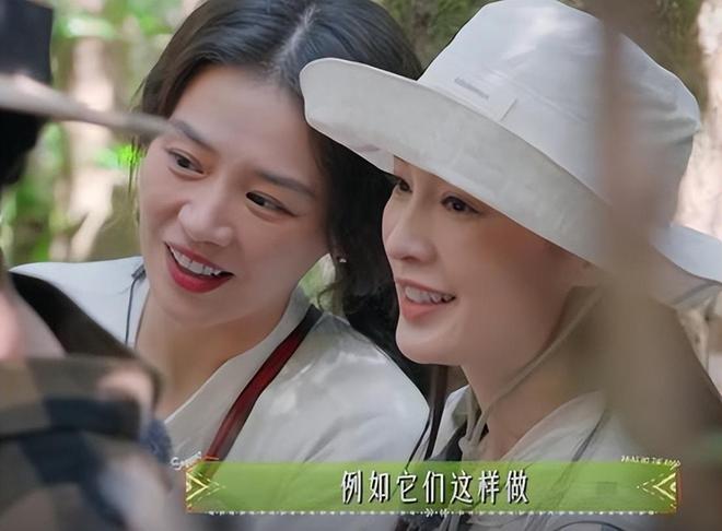 一档综艺被“一脸斑点”的李沁惊艳整个人面相变了惊鸿一瞥(图2)