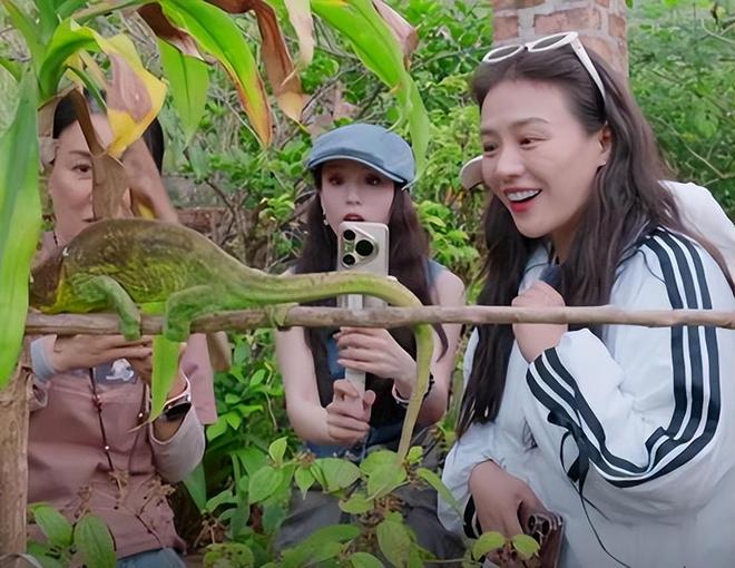 一档综艺被“一脸斑点”的李沁惊艳整个人面相变了惊鸿一瞥(图14)