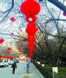 宝鸡：大红灯笼点亮百姓幸福年(图3)