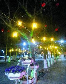 宝鸡：大红灯笼点亮百姓幸福年(图7)