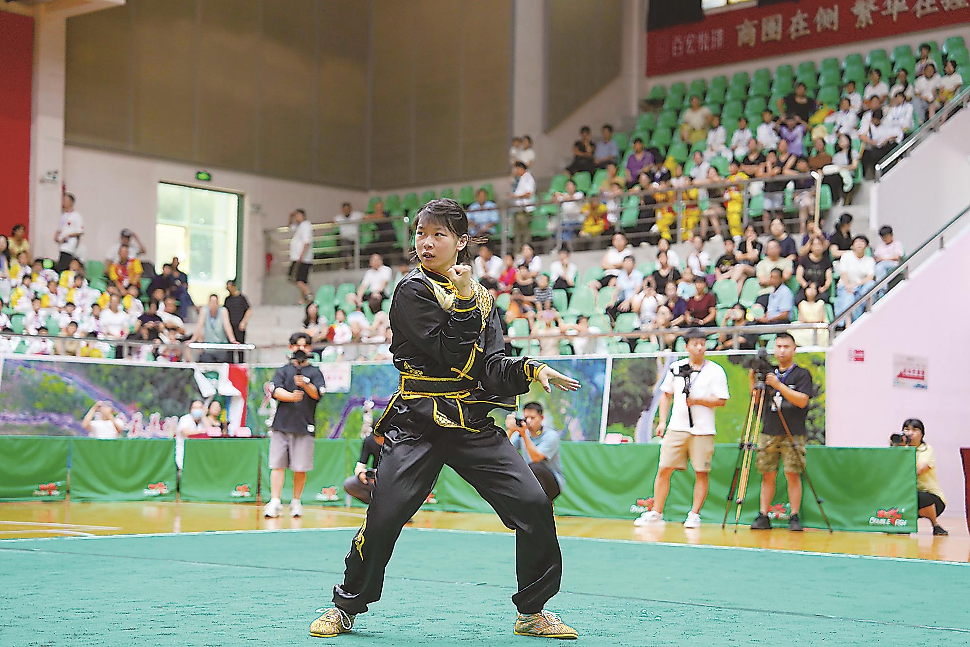 潮声 永春白鹤拳：展翅翱翔五洲四海(图4)
