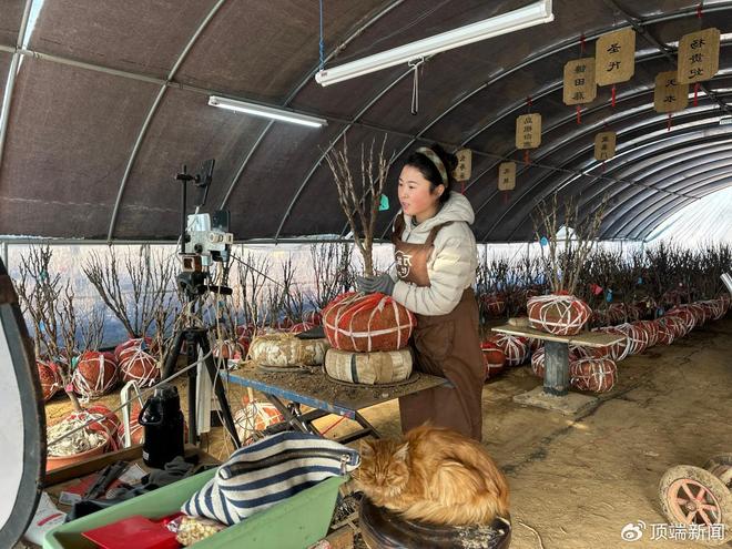 年销26万盆！洛阳一社区吃上“牡丹饭”(图3)