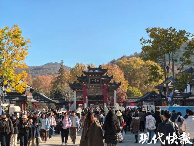 赏枫购鲜两不误！南京54场农产品惠民市集启幕120种地产鲜品直达餐桌(图5)