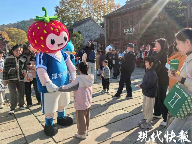 赏枫购鲜两不误！南京54场农产品惠民市集启幕120种地产鲜品直达餐桌(图6)