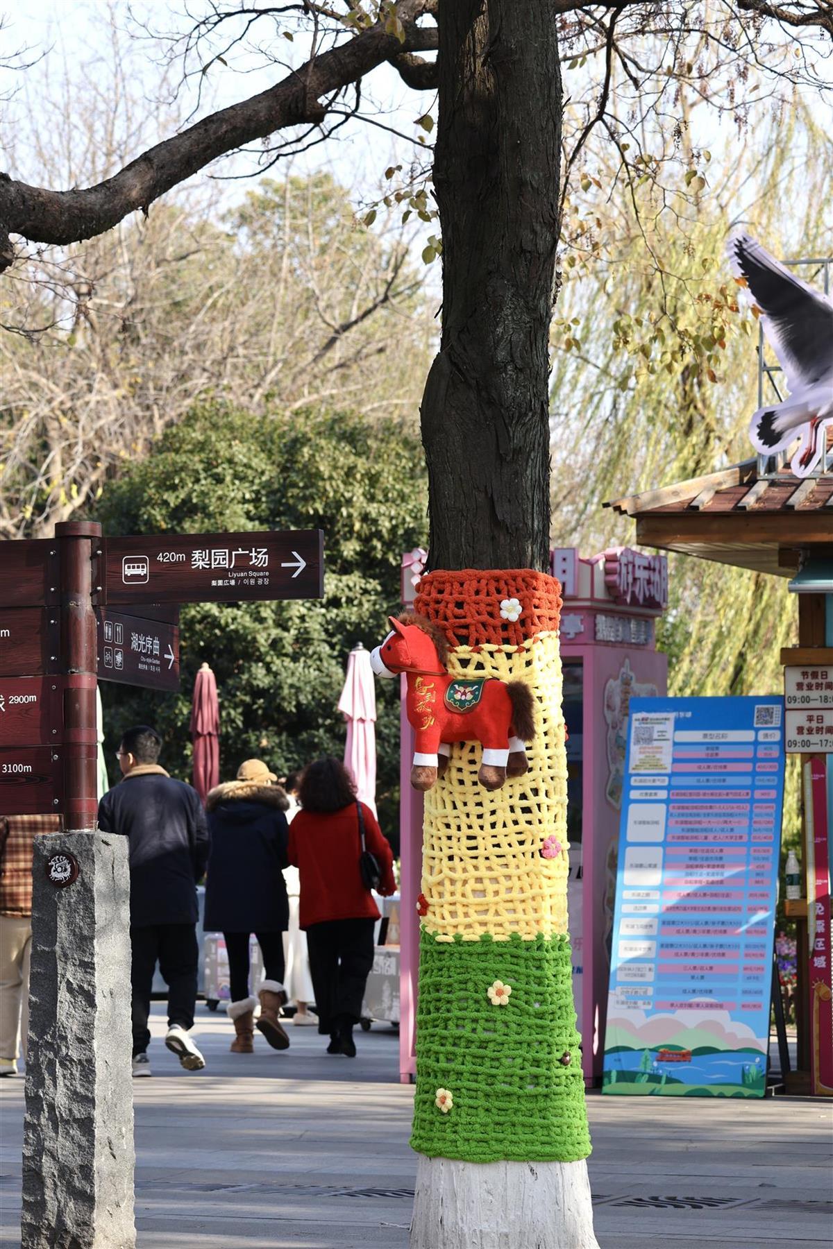 大树披“彩衣” 喜迎新年到(图3)