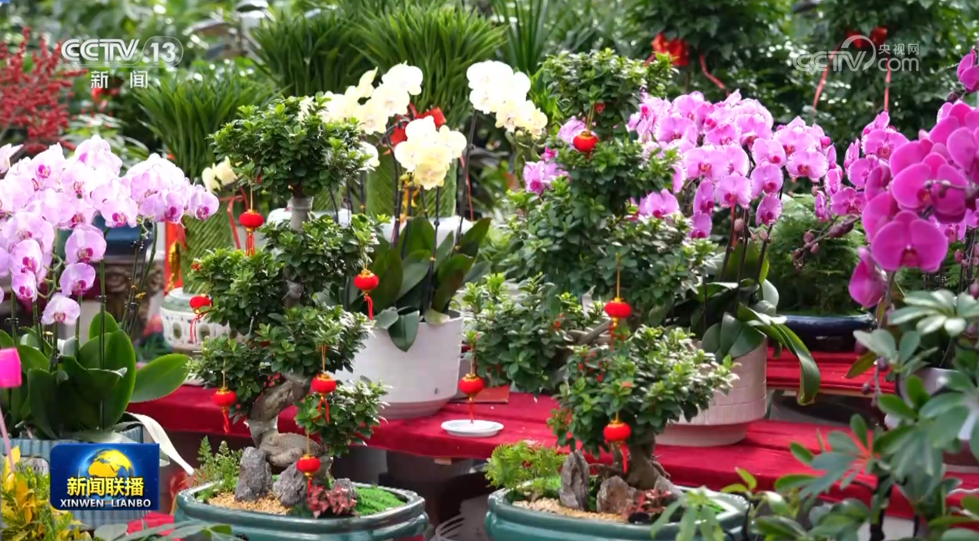 各地装扮一新迎接新年(图2)