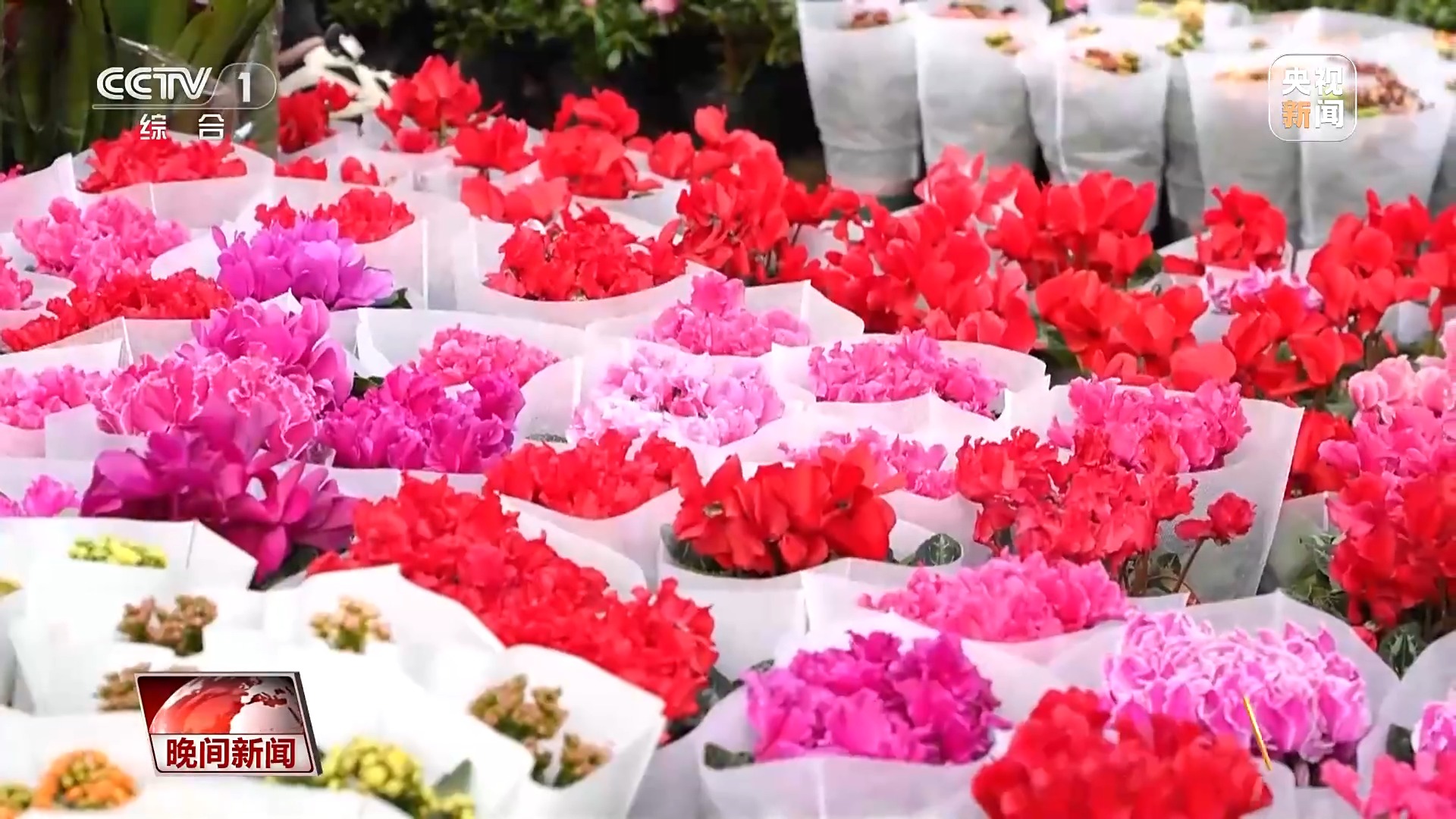 元旦将至 各地消费市场持续升温 节日氛围浓厚(图2)