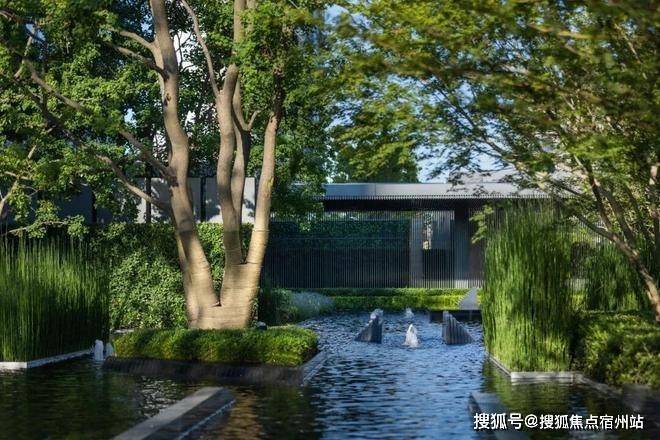 保利世博天悦2026销售中心│楼盘官网-上海保利世博天悦售楼处电话实时房价户型地址周边配套交房时间(图23)