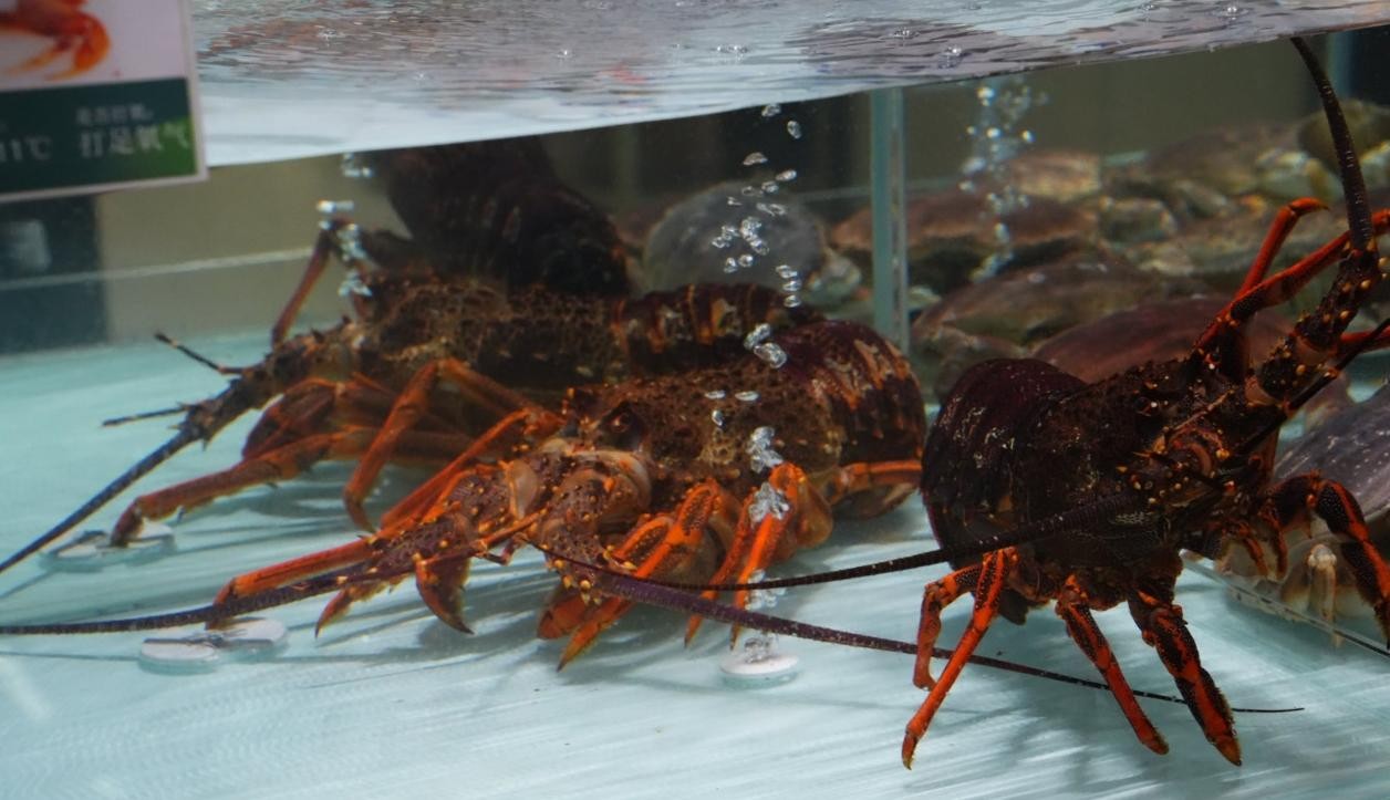 跨年餐桌“鲜”人一步！京东七鲜时令生鲜、烘焙酒水、新年装饰全品类直降(图2)