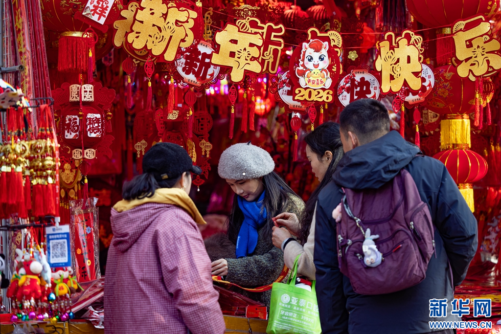 成都荷花池市场“红装”迎新春(图3)