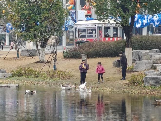 第十届武汉园博园花灯会1月28日盛大启幕 万马奔腾主题灯展54天横跨四大新春节点(图7)