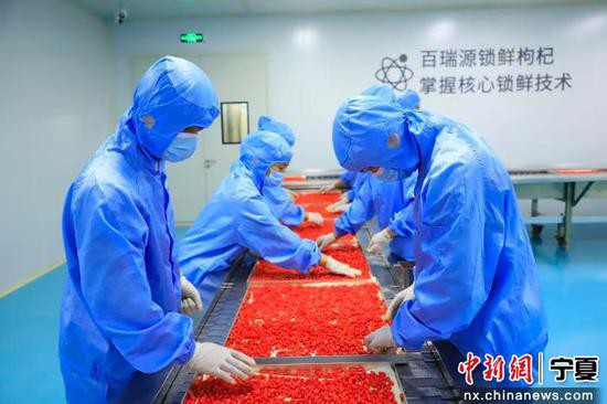 新春年货市场火热开启 宁夏枸杞引领节庆消费(图2)