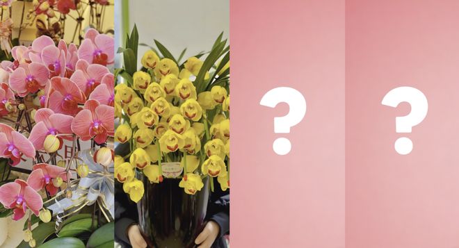 全上海“花头最niong”的地方!许多人全家出动!91岁“花样阿婆”透露长寿秘诀(图7)