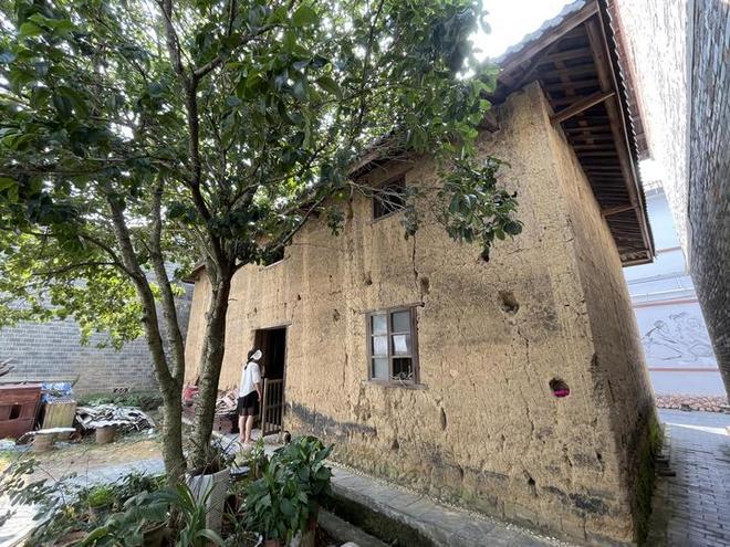 双湖记｜新春走基层(图12)