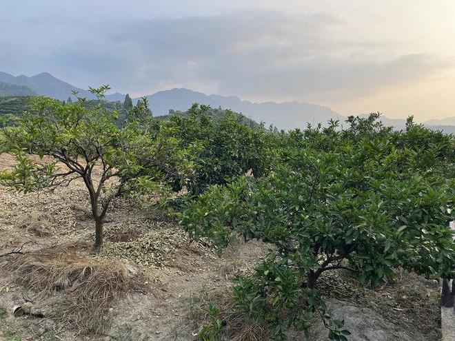 双湖记｜新春走基层(图13)