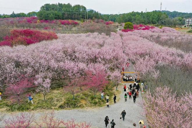 双湖记｜新春走基层(图6)