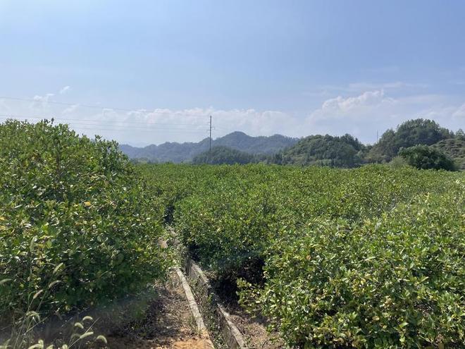 双湖记｜新春走基层(图16)