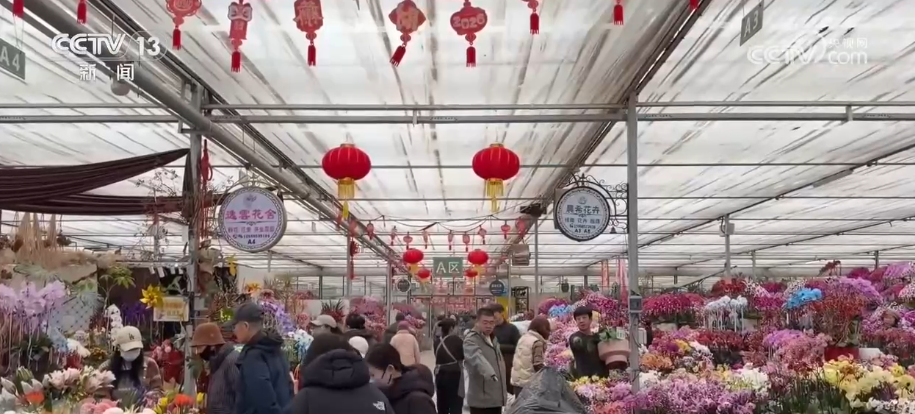 从民俗展演到非遗体验 从新春大集到惠民消费 文旅融合激活传统年味(图5)