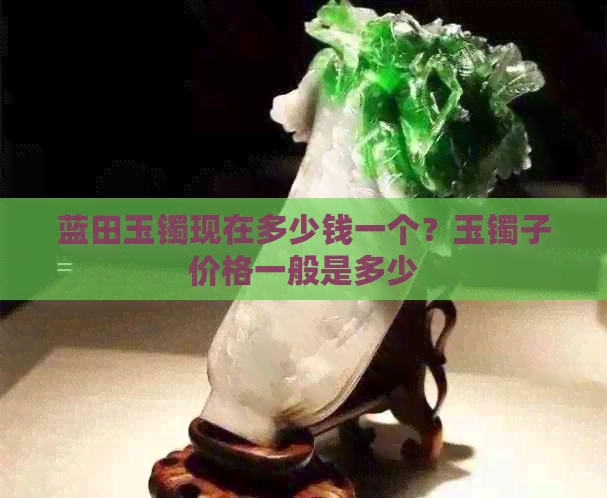 陕西蓝田玉手镯多少钱一只(图2)