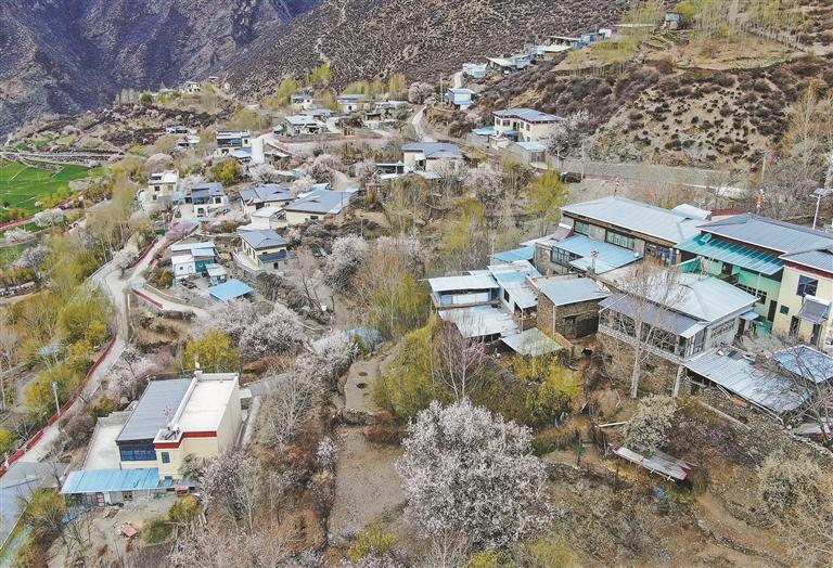 从“忧居”到“优居”：一栋房子的“革命”(图1)